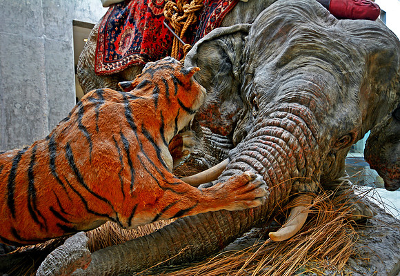 THE KILL HDR MSP0000801