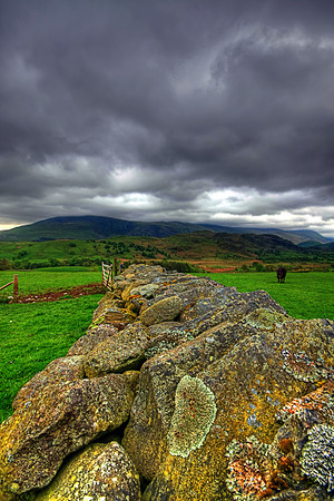 STONEWALLED HDR MSP0001973