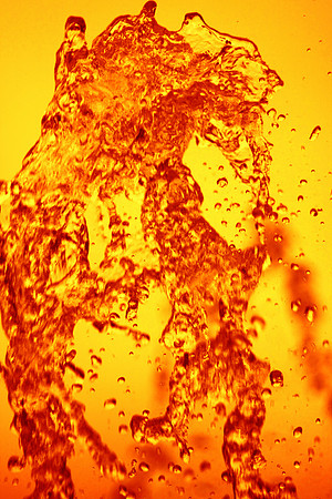 FROZEN IN TIME (FIRE AND ICE) MSP0002496