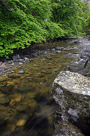 MOUNTAIN RIVER MSP0001709
