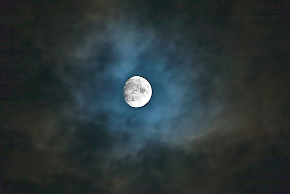 MOON MSP0005069