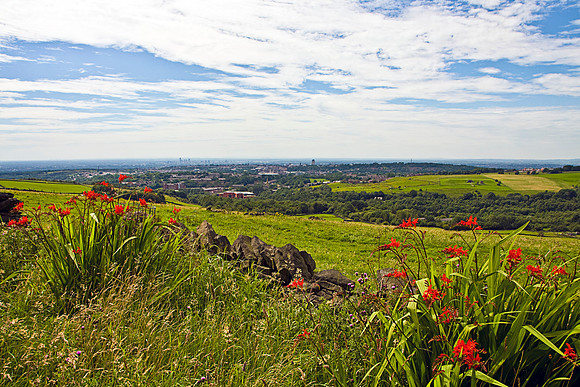 OLDHAM LANDSCAPE MSP0005125