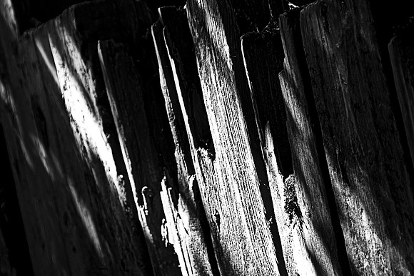 OLD FENCE MSP0005078