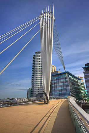 MEDIA BRIDGE HDR MSP0002983