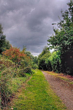 CLAYTON VALE HDR MSP0003940