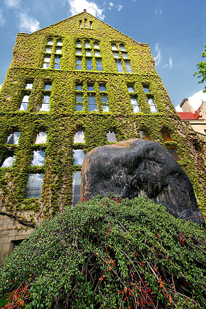 UNIVERSITY OF MANCHESTER MSP0001041