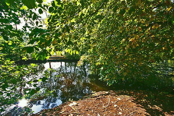 ETHEROW COUNTRY PARK 2 MSP0000493