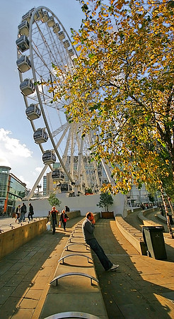 MANCHESTER WHEEL MSP0001020