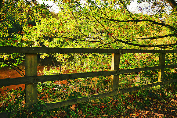 ETHEROW COUNTRY PARK 4 MSP0000490