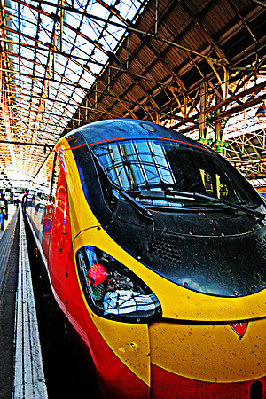 PICCADILLY VIRGIN MSP0001045
