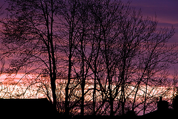 SUNRISE MSP0003960