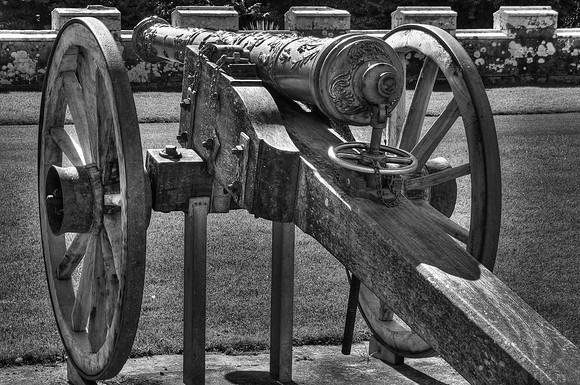 POINT AND SHOOT HDR MONO MSP0002540