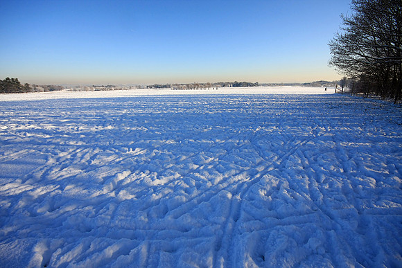 WINTER WHITE MSP0001600