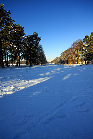 SNOW FAR SNOW GOOD MSP0002651