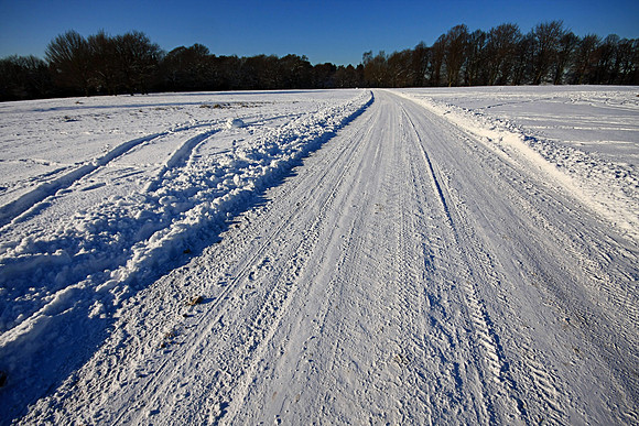 WINTER WHITE 4 MSP0001605