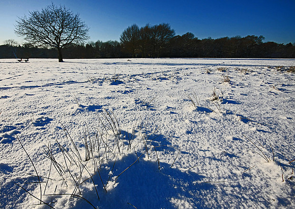 WINTER WHITE 7 MSP001608
