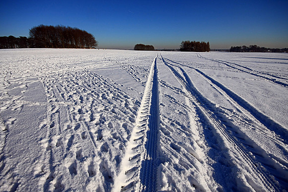 WINTER WHITE 3 MSP0001604
