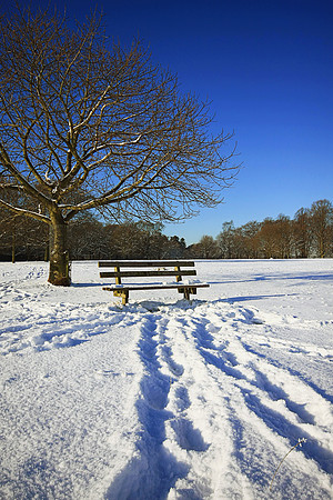 COLD COMFORT MSP0003021