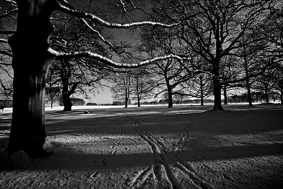 WINTER WHITE 6 MONO MSP0001607