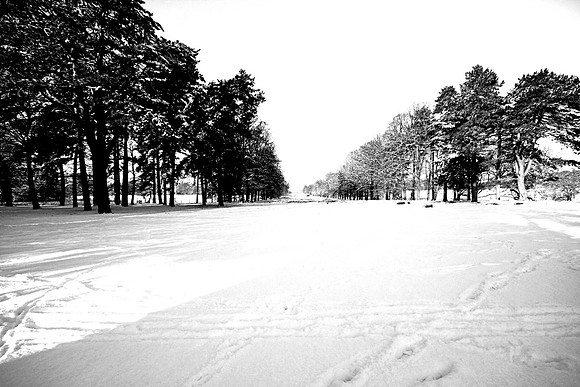 WINTER WHITE 11 MONO MSP0001613