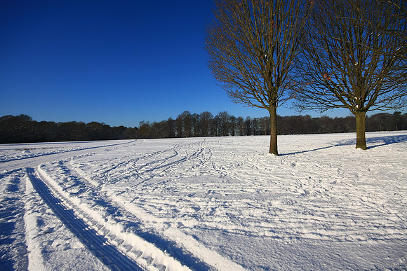 WINTER WHITE 13 MSP0001615
