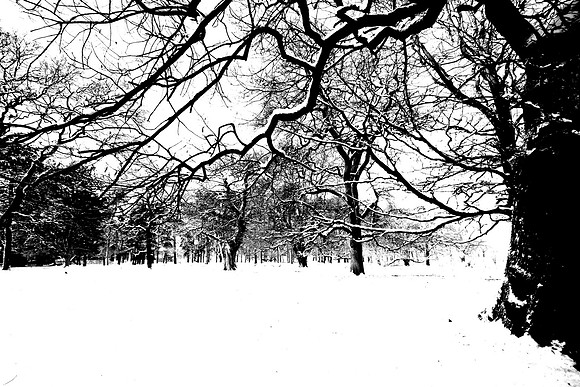 WINTER WHITE 9 MSP0001610