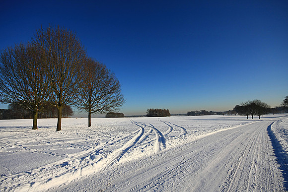 WINTER WHITE 10 MSP0001612