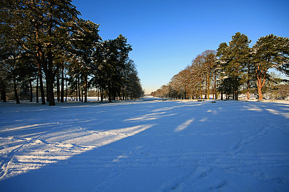 WINTER WHITE 2 MSP0001601