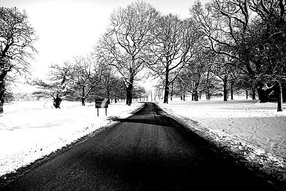 WINTER WHITE 12 MONO MSP0001614