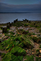 HUMBER ESTUARY HDR MSP0002197