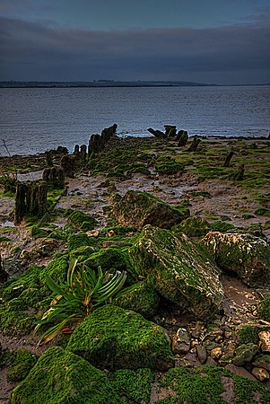HUMBER ESTUARY HDR MSP0002197