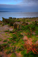 HUMBER ESTUARY HDR MSP0001942