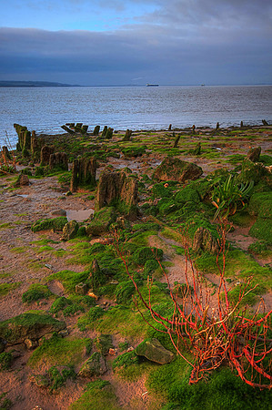 HUMBER ESTUARY HDR MSP0001942