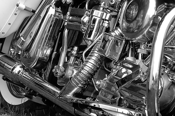 HARLEY DAVIDSON MONO HDR MSP0002315