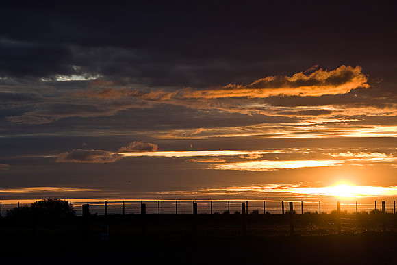 SUNSET MSP0005072
