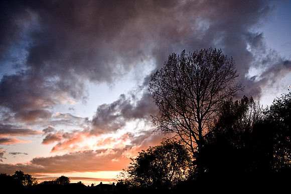 SUNSET MSP0005087