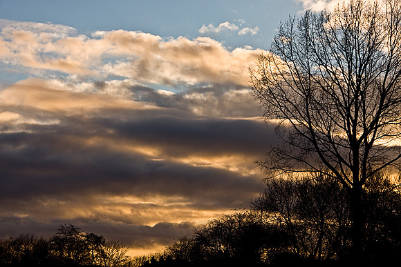 SUNSET MSP0005066
